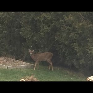 Meet your Posher, Jodi